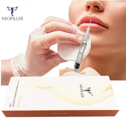 चेहरे नाक होंठ वृद्धि के लिए Hyaluronic एसिड Dermal Filler 24mg/ml